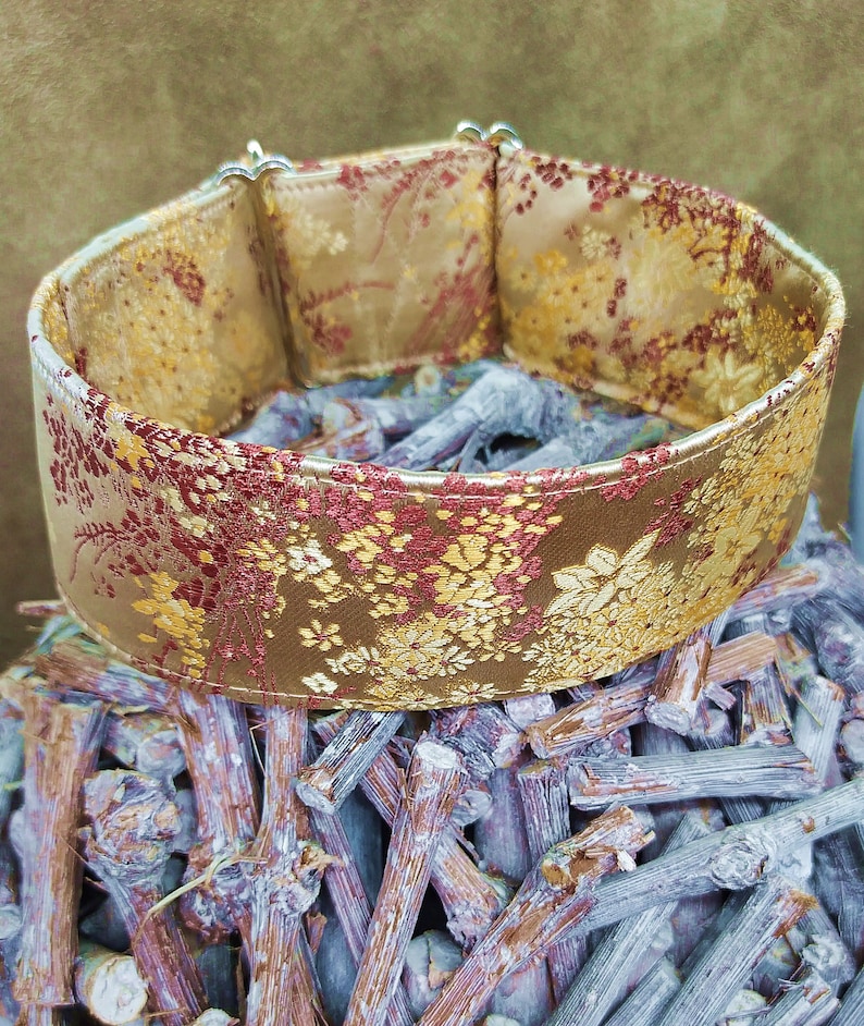 May include: A gold and red floral patterned dog collar with silver hardware.
