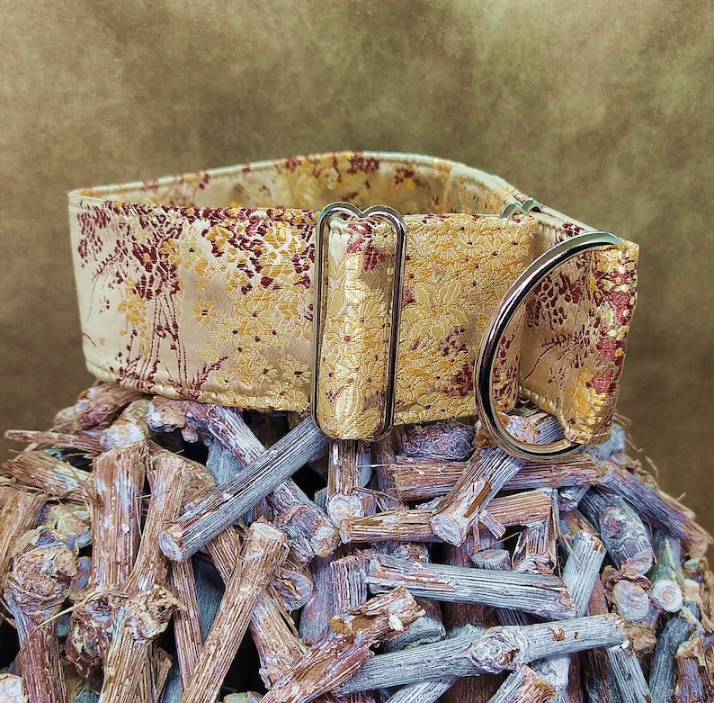 May include: A gold and red patterned dog collar with a silver buckle and D-ring.