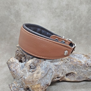 leather collar, greyhound collar, buckle collar, dog collar