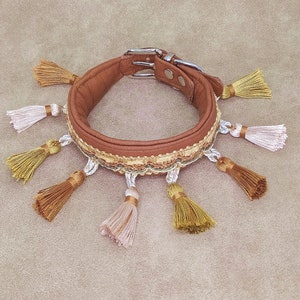 leather collar, greyhound collar, buckle collar, dog collar