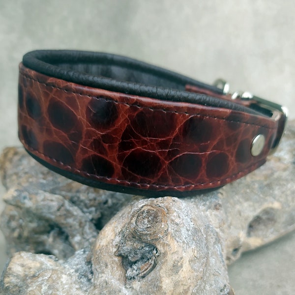 Collare in pelle, Collare levriero, Collare con fibbia, Collare per cani