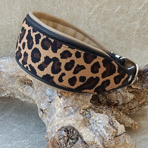 Collare in pelle, collare per levriero, collare con fibbia, collare per cani