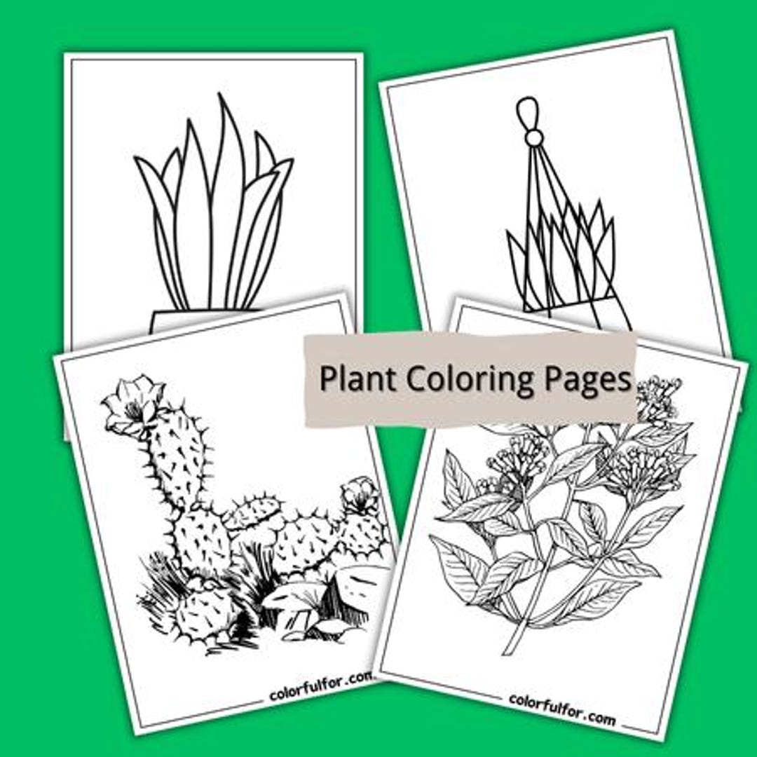 Plant Coloring Book | Printable Botanical Colouring Pages | Digital ...