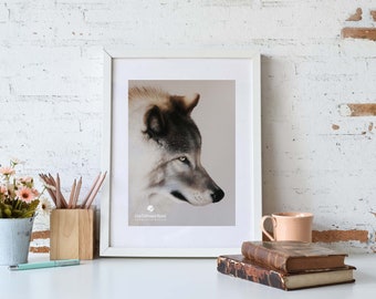 Wolf Eye Drawing - Etsy