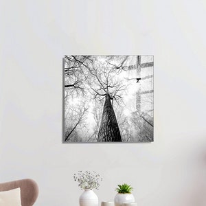 Orchidee Wandkunst, gehärtetes Glas, Einweihungsgeschenk, Weihnachtsgeschenk, bunte Deko, minimalistisches Design, Willkommensgeschenk