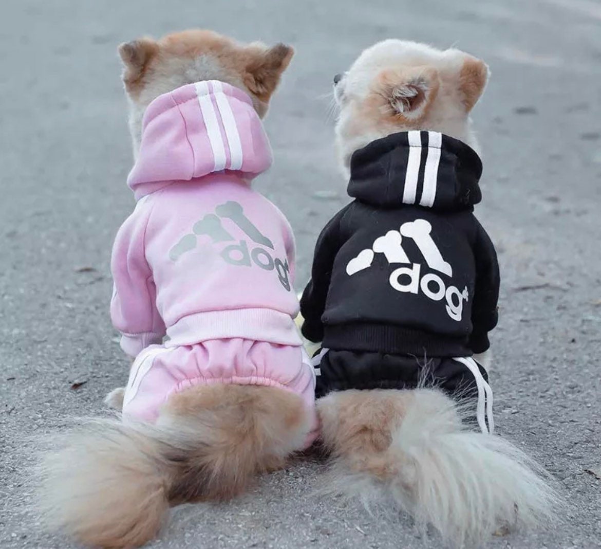 pink adidas dog hoodie