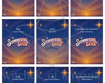 Shimmering Skies Checklist Lorcana English Version / Master Set / Card List,  Rarity, Foil, Ink Color / Perfect for Collectors / PDF File - Etsy