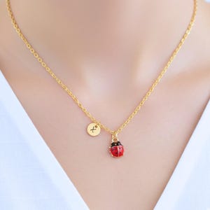 Personalisierte Marienkäfer Anfangshalskette, zierlicher Gold-Emaille-Charme, Edelstahl-Glücksgeschenk für Sie