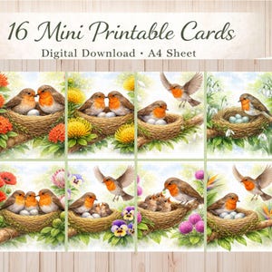 Può includere: 16 Mini Biglietti Stampabili download digitale. L'immagine mostra una raccolta di biglietti stampabili con illustrazioni ad acquerello di pettirossi nei nidi, con uova e fiori. Le carte sono disposte a griglia.