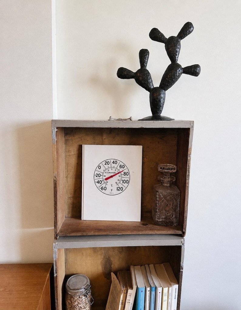May include: A wooden crate shelf unit containing a white book with a circular thermometer graphic labeled CHANEL, a clear glass decanter, a black metal cactus sculpture, a glass jar with contents, and a row of books with various colored spines.