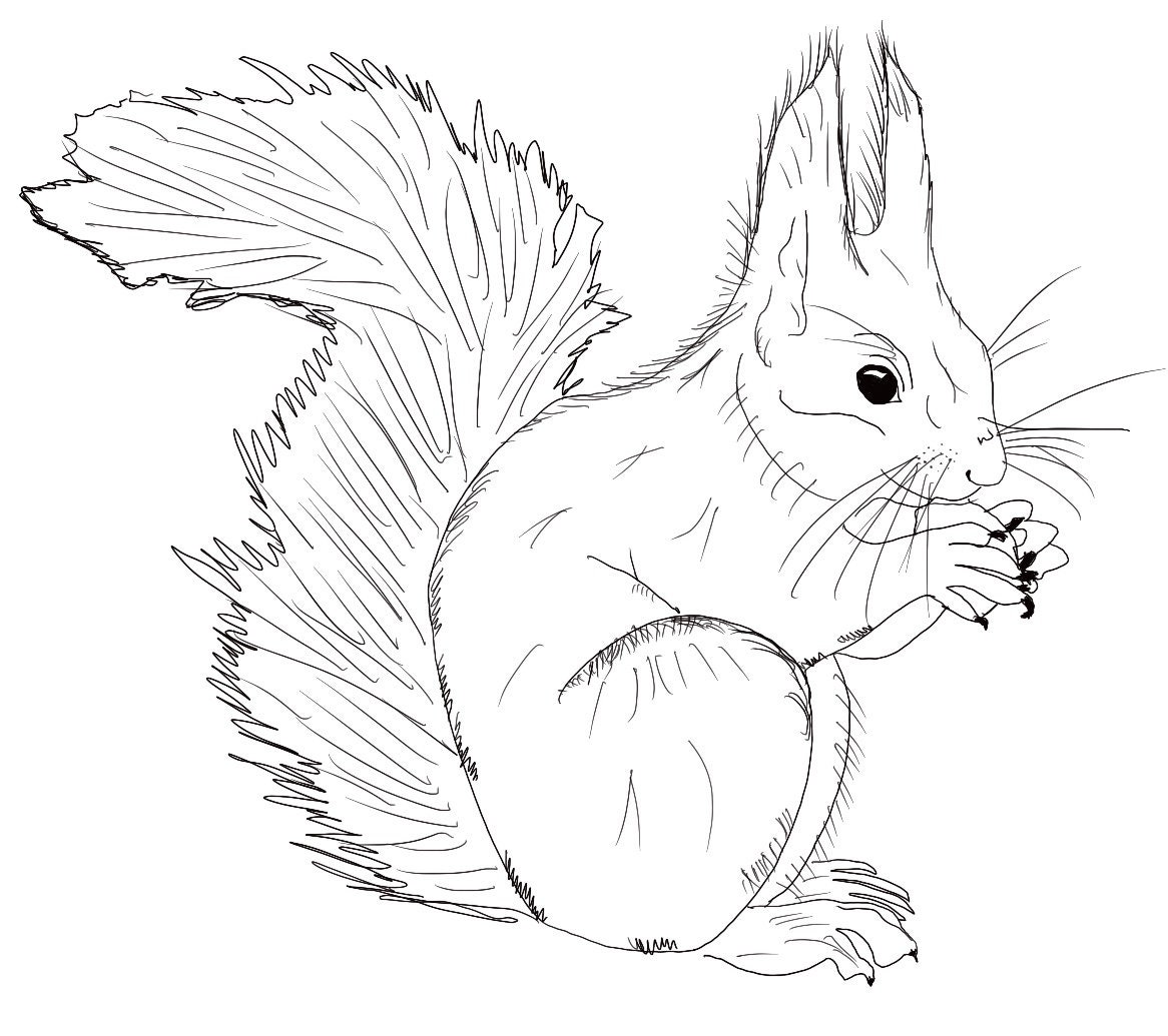Squirrel Drawing Pattern Print Floor Mat