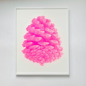 PINO ROSA | serigrafia