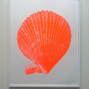 May include: A framed print featuring a large, vibrant orange seashell against a white background. The seashell is the focal point, with detailed lines radiating from the center. The print is encased in a white frame, creating a clean, modern aesthetic.