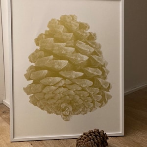 PINO DORATO | serigrafia