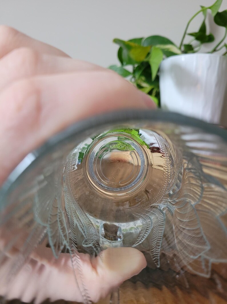 Puede incluir: Una taza de vidrio transparente con un patr&oacute;n decorativo en el interior. La taza est&aacute; vac&iacute;a y el fondo es visible.