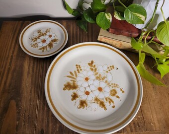 OLD MEAL DISH リムロゴ オールドマウンテン 2枚セット