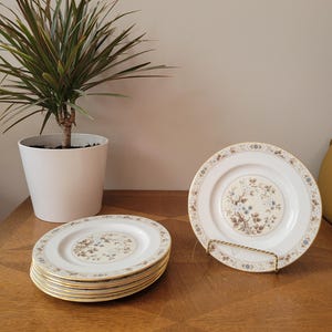 May include: A stack of eight white ceramic plates with a gold rim and floral pattern. The plates are on a wooden table.