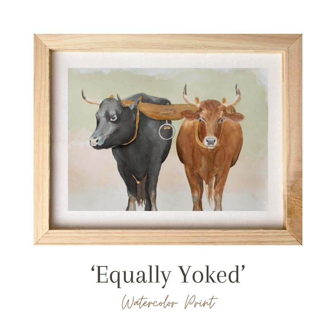 Equally Yoked, Watercolor Painting, Art Print, Christian Art, LDS, Oxen
