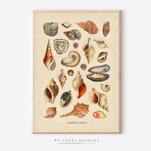 May include: A vintage illustration of various seashells, including oyster, conch, and clam shells. The image is titled "Coquillages" and is from the By Capri Designs collection.