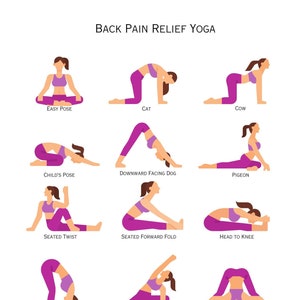Yoga ball for lower back pain sale