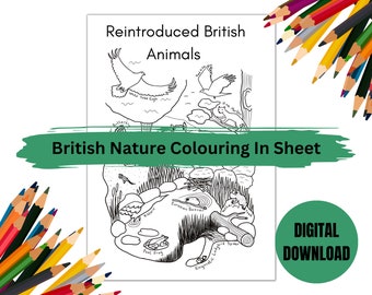 Environmental Colouring In Sheet - Reintroduced British Animals