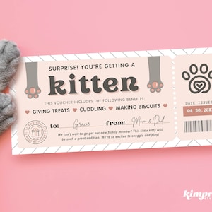 Nuevo certificado de regalo para gatitos, plantilla de boleto sorpresa para gatitos, revelación sorpresa para mascotas imprimible, vale para gatos familiares, archivo digital 9x4, edición Canva