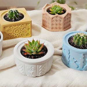 May include: A collection of small succulent and cactus plants in decorative pots. The pots are in various colors, including white, yellow, blue, and peach, and feature different patterns and shapes. The plants are arranged on a white cloth.