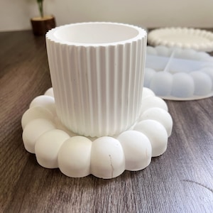 May include: White ceramic planter with a ribbed design, sitting on a white ceramic coaster with a scalloped edge.