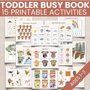 Primer libro tranquilo para niños pequeños, libro de actividades imprimible, hoja de trabajo de reconocimiento de letras, descarga digital, regalo de viaje para niños, actividad de clasificación de formas