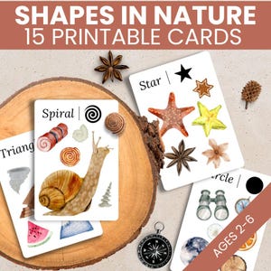2D-vormen natuurkaarten, vorm overeenkomende activiteit, flashcards leren vormen, afdrukbaar, vormenactiviteiten voor peuters, montessori voor 2-jarige