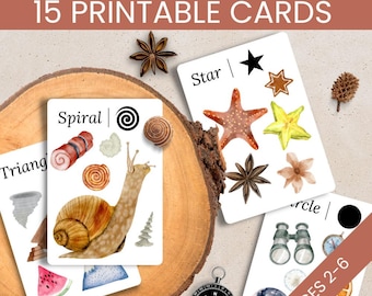 Cartes nature formes 2D, activité d'association de formes, cartes mémoire d'apprentissage des formes à imprimer, activités formes pour tout-petits, Montessori pour 2 ans