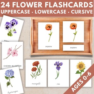 Karta Flower 3 Part do druku, karty językowe Montessori dla maluchów, gra dopasowująca pamięć, aktywność wiosenna dla dzieci, karta słownictwa