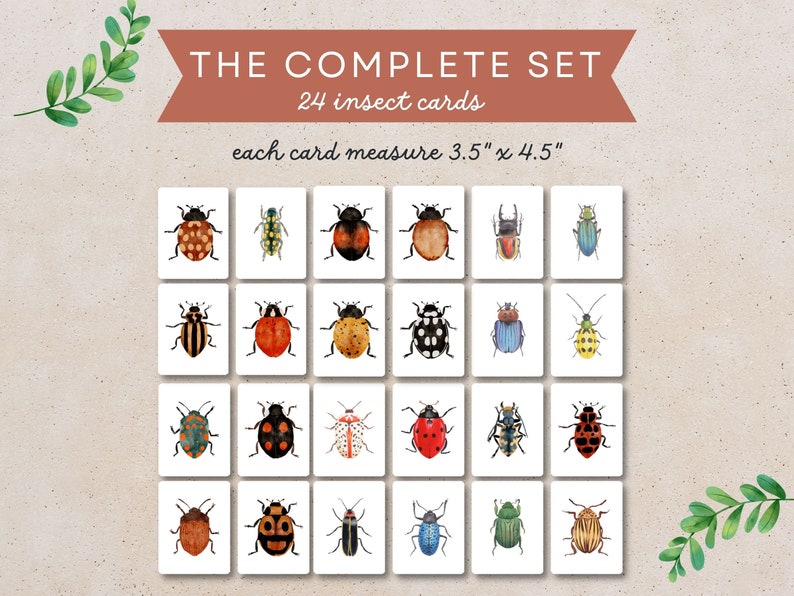 May include: A set of 24 insect cards, each measuring 3.5" x 4.5". The cards feature colorful watercolor illustrations of various insects, including ladybugs, beetles, and butterflies.