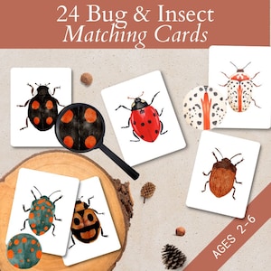 Scheda di corrispondenza bug per download digitale per bambini, Flashcard insetti Montessori per l'educazione dei bambini, gioco di memoria stampabile, attività primaverile nella natura