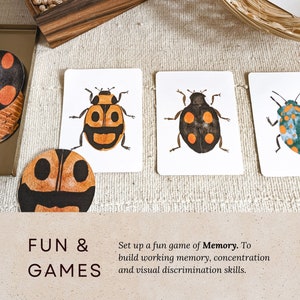 May include: A set of six illustrated cards featuring colorful ladybugs with black spots. The cards are part of a memory game designed to build working memory, concentration, and visual discrimination skills. The text "FUN & GAMES" is printed on a brown background.