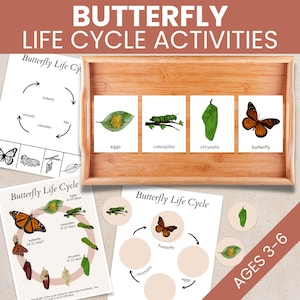 Levenscyclus vlinder afdrukbaar voor kleuter, montessorivlinder activiteit, lente knip- en plakactiviteit 3-jarige leren voor kind pdf