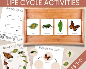 Cycle de vie des papillons à imprimer pour enfant d'âge préscolaire, activité papillon Montessori, activité printanière de couper-coller pour un enfant de 3 ans, apprendre PDF