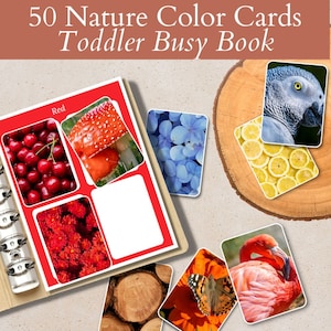 Cartões imprimíveis de classificação de cores, atividade de correspondência de cores Montessori para crianças, livro digital ocupado pela natureza, pasta ocupada pré-escolar, atividade de primavera