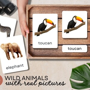 Tarjetas didácticas de animales salvajes para niños, animales africanos Montessori Tarjetas de 3 partes para niños pequeños, juego de combinación de memoria imprimible, Aula Safari, Zoológico