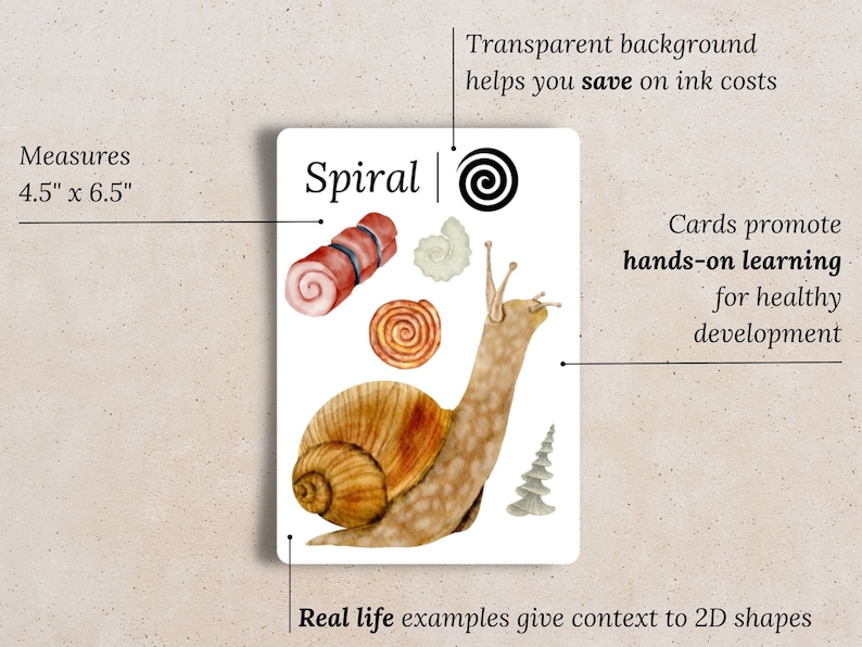 May include: A white card with the word "Spiral" printed in brown. The card features a watercolor illustration of a snail with a spiral shell, along with other spiral shapes like a pinecone and a seashell. The card measures 4.5 inches by 6.5 inches.