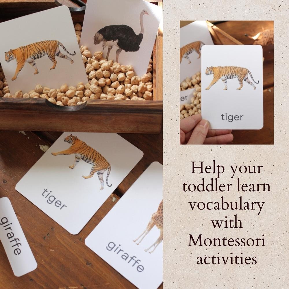 Farm Animal Flash Cards for Kids Printables, Memory Match Game Digital ...