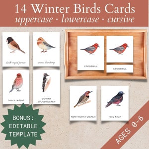 Flashcards de pássaros de inverno para impressão, atividades de inverno Montessori para crianças pequenas, cartões de 3 partes para crianças, presente de amante de pássaros para chá de bebê, correspondência