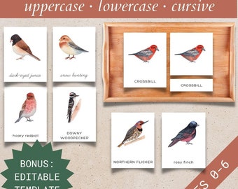 May include: A collection of 14 Winter Birds Cards, featuring uppercase, lowercase, and cursive text. The cards display watercolour illustrations of birds such as the dark-eyed junco and snow bunting. Includes an editable template. Suitable for ages 0-6.