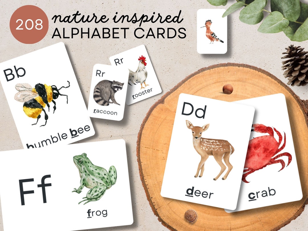 ABC Flash Cards Animals Flashcards for Baby Toddlers Preschool AZ