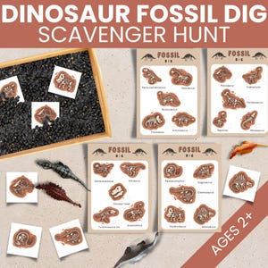 Dinosaurieskattjakt för barn inomhus, förskolesensorisk låda utskrivbar, Montessori-matchningsspel, födelsedagsfestaktivitet, dinosauriebenfossil