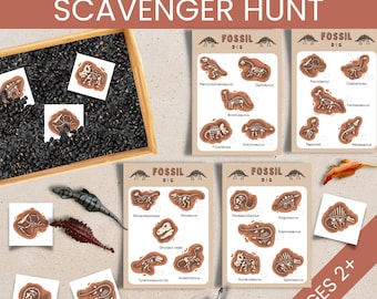 Dinosaur Scavenger Hunt for Kid Indoor, Preschool Sensory Bin Printable, Montessori Matching Game, Birthday Party Activity, Dino Bone Fossil