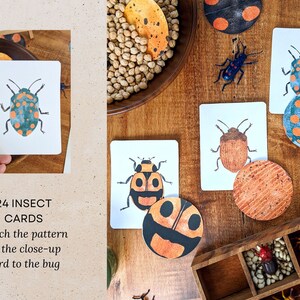 May include: A set of 24 insect cards with matching patterns. The cards feature colorful illustrations of bugs with orange, blue, green, and black accents. The text on the cards reads "24 Insect Cards" and "Match the pattern on the close-up card to the bug."