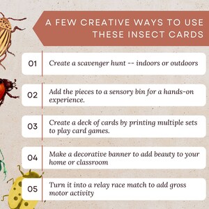 May include: A colorful infographic with five ideas for using insect cards. The infographic features illustrations of various insects, including a ladybug, a beetle, and a striped insect. The text reads: "A Few Creative Ways to Use These Insect Cards".