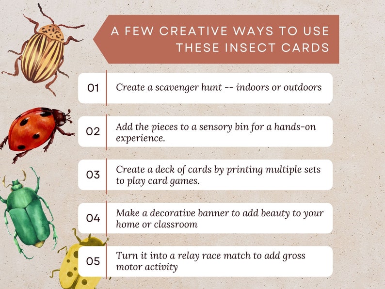 May include: A colorful infographic with five ideas for using insect cards. The infographic features illustrations of various insects, including a ladybug, a beetle, and a striped insect. The text reads: "A Few Creative Ways to Use These Insect Cards".