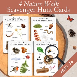Búsqueda del tesoro fotográfica imprimible, tarjetas de paseo por la naturaleza, juego de campamento para niños, actividades de primavera al aire libre para preescolar, juego de combinación de memoria